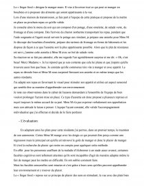 Exemple De Projet D Animation Dc3  Le Meilleur Exemple
