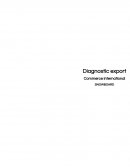 DIAGNOSTIC EXPORT SNOWBOARD