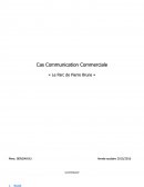 Etude de cas de Communication - Pierre Brune