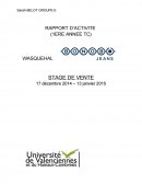 Rapport de stage Bonobo Jeans