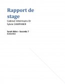 Rapport de stage observation cabinet vétérinaire