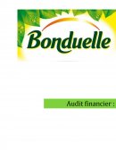 Audit finacier bonduelle