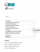 Rapport de stage , secteur pharmaceutique