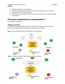 Cours sur l'importance du consommateur.