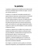 L'histoire de la patate