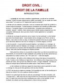 Droit civil: droit de la famille.