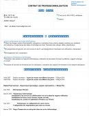 CV informatique