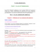 Dissertation droit: l'action administrative.