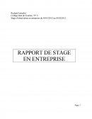 Rapport de stage Intersport 3ème