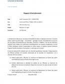 Rapport d'entraînement de volleyball