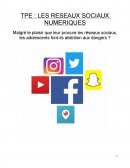 Réseaux sociaux numériques