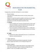 Main ideas for the marketing plan