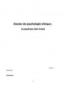 La psychose chez Freud