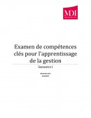 Dissertation S1, Compétences clés dans l'apprentissage de la gestion