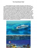 The Great Barrier Reef