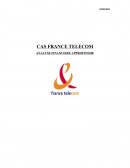 Cas France Telecom