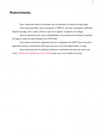 Exemple De Rapport De Stage Infirmier Pdf  Le Meilleur Exemple