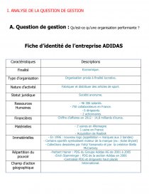 adidas entreprise performante