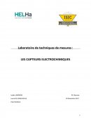 Capteur électrochimique