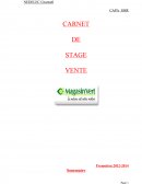 Carnet de stage vente