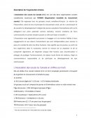 L'Association des scouts du Canada