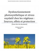 Dysfonctionnement photosynthétique et stress oxydatif chez les végétaux : Sources, effets et protection