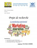 Le marketing expérientiel