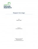 Rapport de stage Metro Inc.