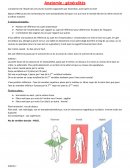 Anatomie : généralités