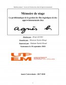 Mémoire Licence Achat Logistique