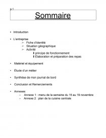 Rapport De Stage Pizzeria Rapport De Stage Momo