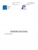 Rapport de Stage Premium Gas