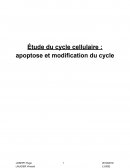TP Analyse du cycle cellulaire : apoptose et modification du cycle
