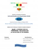 L'Afrique face au terrorisme : réflexion sur le cas du Mali et du Nigéria