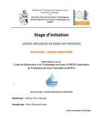 Rapport De Stage D Initiation Rapport De Stage Dallaginour