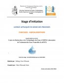 Rapport de stage d'initiation