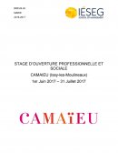 Rapport stage Camaieu