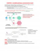 Svt chapitre 3 : viabilité génétique, environnement et bonne santé
