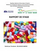 Rapport de stage salem