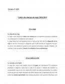 Rapport de soutenance L3 AES