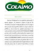 Rapport de stage colaimo