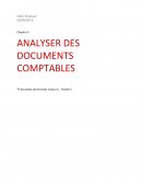 Analyser des documents comptables