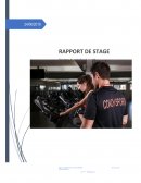 Rapport de stage entreprise Revital