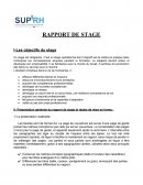 Rapport de stage L1