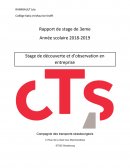 Rapport de stage dans la Société des Transports en Commun