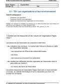 Les organisations et leur environnement