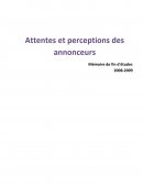 Attentes et perceptions des annonceurs