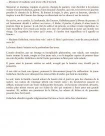 bouvard et pecuchet rencontre