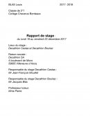 Rapport de stage Décathlon