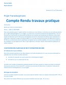 TP Transdisciplinaire